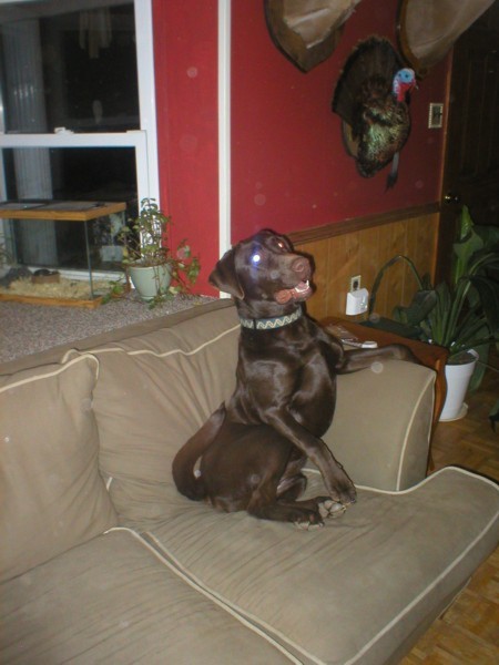 Katie thinks she's people.jpg